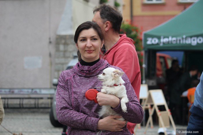 paraduja-bo-kochaja-zwierzeta-foto-68876
