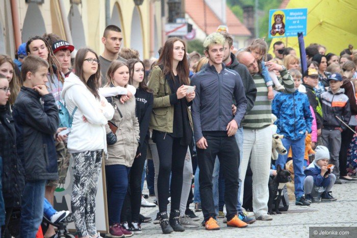 paraduja-bo-kochaja-zwierzeta-foto-68876