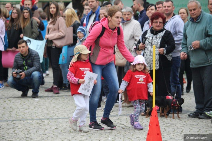 paraduja-bo-kochaja-zwierzeta-foto-68876