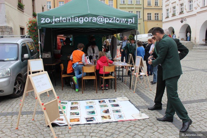 paraduja-bo-kochaja-zwierzeta-foto-68876