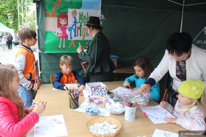 paraduja-bo-kochaja-zwierzeta-foto-68876