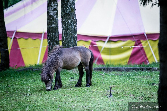wypadek-w-cyrku-w-wojcieszowie-foto-68927