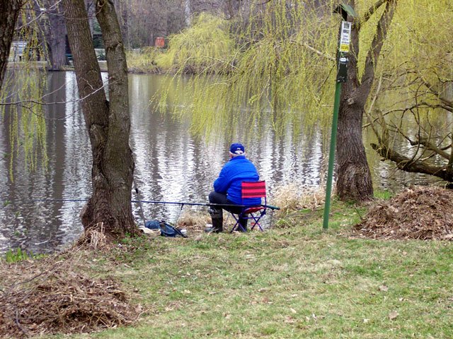 – Na razie ryby nie biorą – mówią wędkujący w stawach cieplickich.