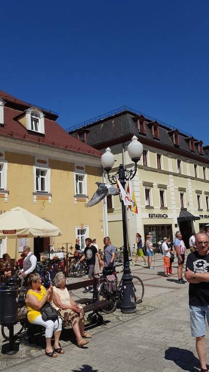 wodnikowi-ratownicy-pomogli-goebiowi-foto-68995