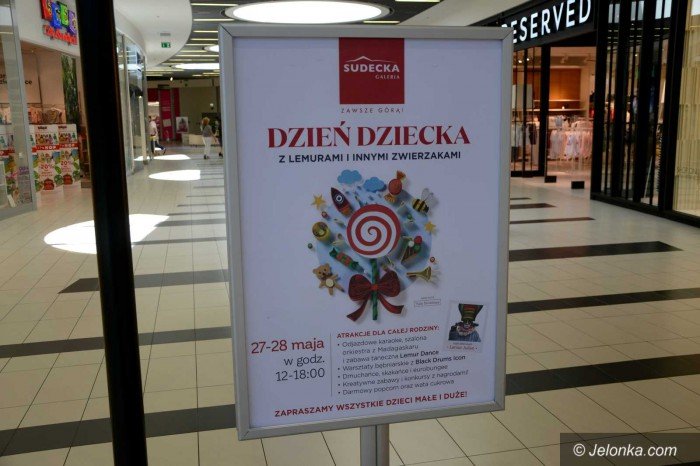 dzien-dziecka-w-galerii-sudeckiej-aktualizacja-foto-69015