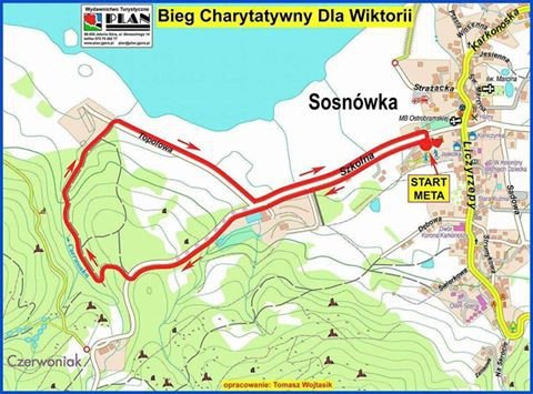 bieg-charytatywny-dla-wiktorii-69053