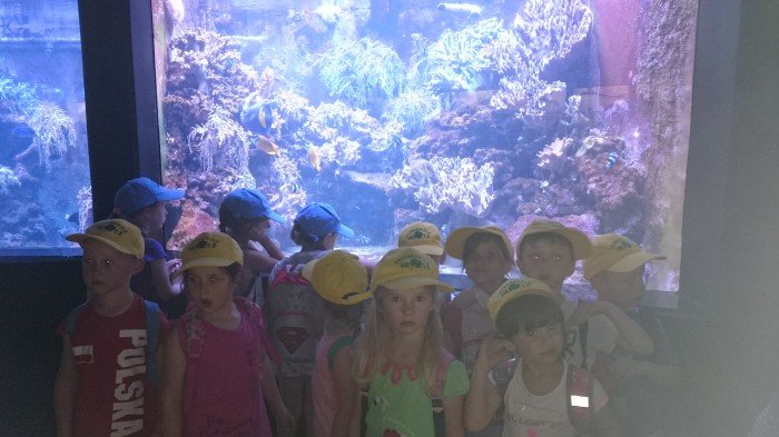 dzien-rodziny-w-mp-13-uroczysty-i-peen-atrakcji-13-foto-69096