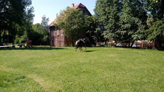 wodnik-z-uczniami-sp-8-foto-69120
