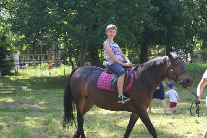 czas-na-zdrowie-hasem-festynu-w-siodemce-foto-69121