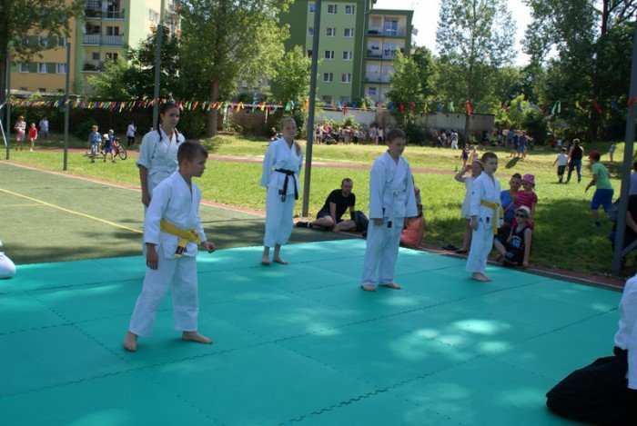 czas-na-zdrowie-hasem-festynu-w-siodemce-foto-69121