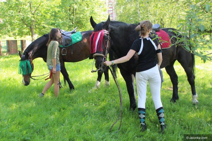 festyn-w-jedenastce-peen-atrakcji-foto-69124