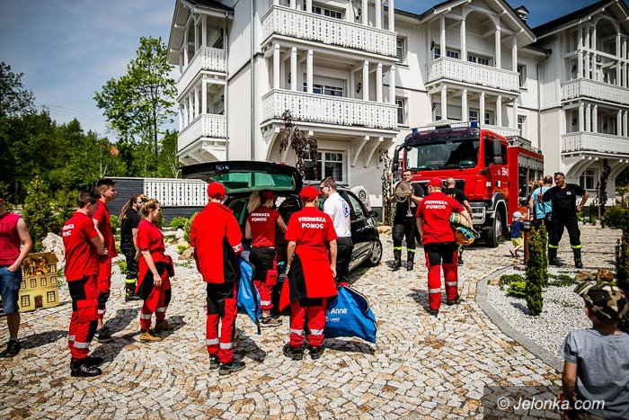 atrakcyjny-dzien-dziecka-w-norweskiej-dolinie-foto-69145