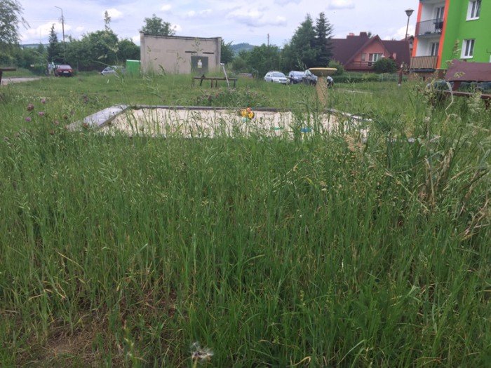 czytelnik-kiedy-wykosza-trawe-przy-ulicy-dziakowicza-foto-69159