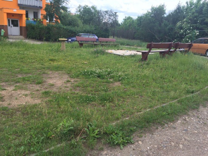 czytelnik-kiedy-wykosza-trawe-przy-ulicy-dziakowicza-foto-69159