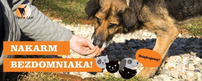 zbiorka-karmy-dla-zwierzat-fundacji-mondo-cane-foto-69218