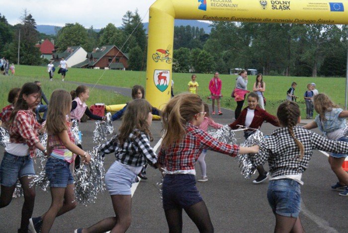 aktywny-piknik-rodzinny-w-sobieszowie-foto-69256