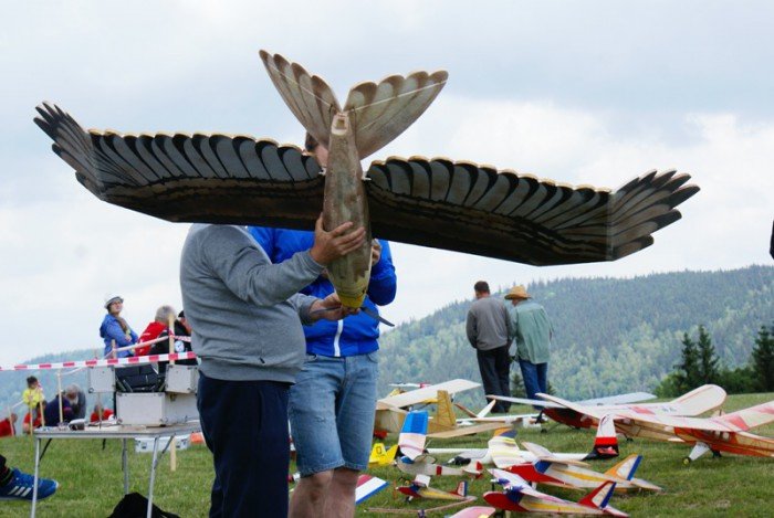 piknik-modelarski-na-gorze-szybowcowej-foto-69264
