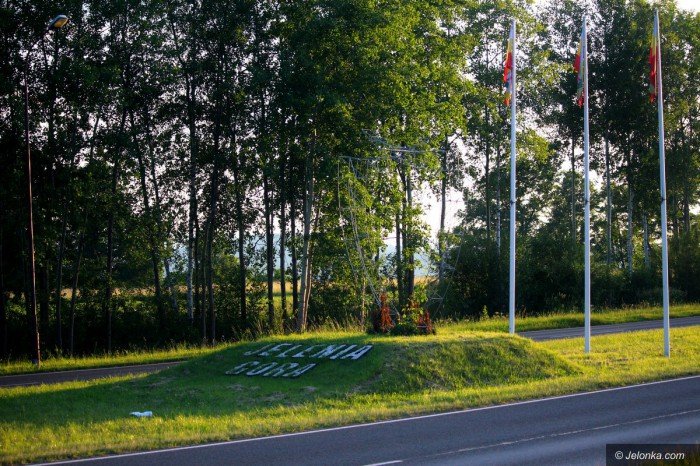 jelonek-spodoba-sie-zomiarzom-foto-69330