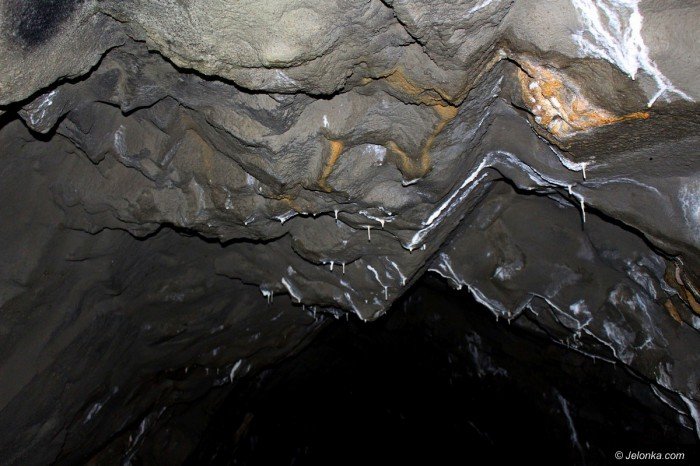 szkolili-sie-z-ratownictwa-w-kopalni-podgorze-foto-69343