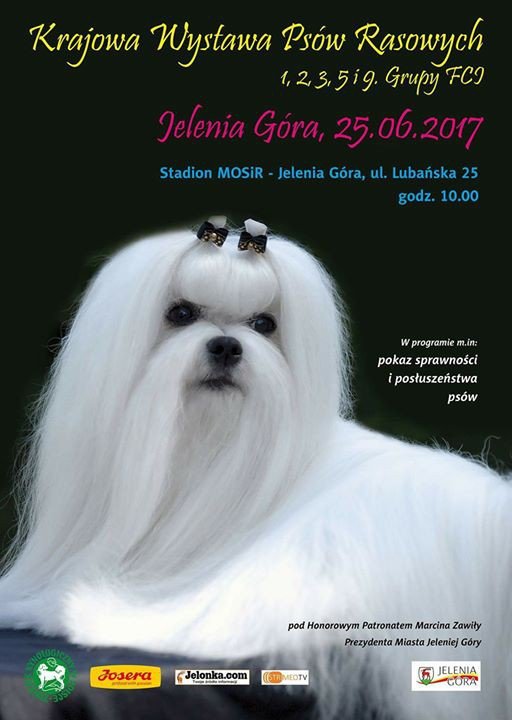 wystawa-psich-pieknosci-juz-w-niedziele-69429