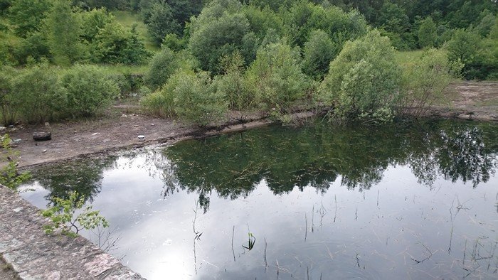 straznicy-miejscy-uratowali-sarne-foto-69449