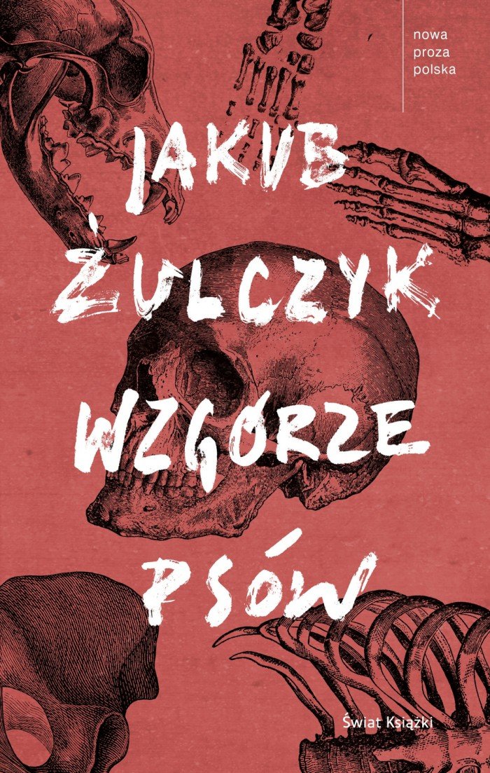 zaczytaj-sie-z-jelonkacom-foto-69466
