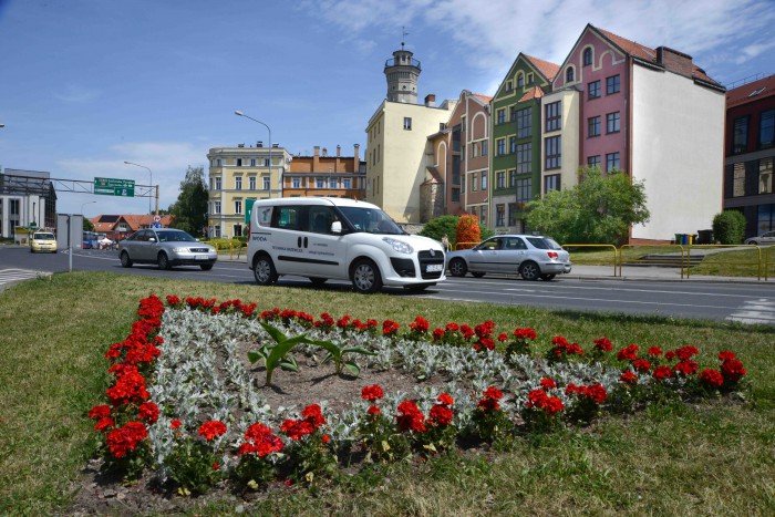 kwiaty-w-miescie-dzielnie-znosza-ruch-i-spaliny-foto-69493
