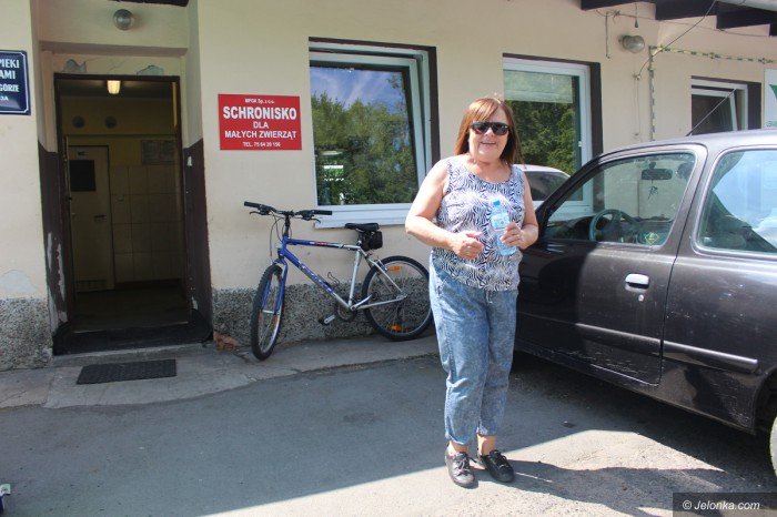 drzwi-otwarte-w-schronisku-dla-maych-zwierzat-foto-69521
