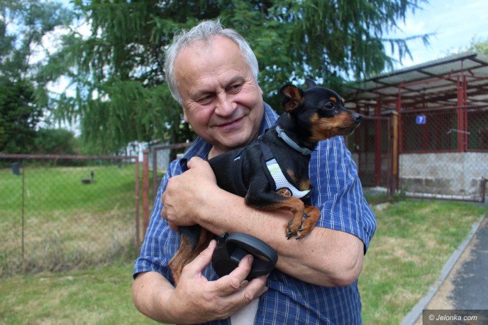 drzwi-otwarte-w-schronisku-dla-maych-zwierzat-foto-69521