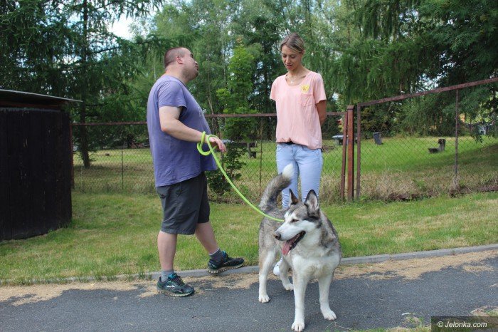 drzwi-otwarte-w-schronisku-dla-maych-zwierzat-foto-69521