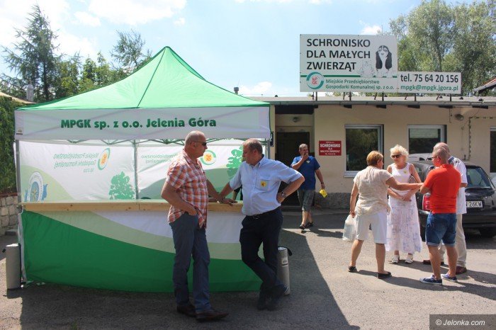 drzwi-otwarte-w-schronisku-dla-maych-zwierzat-foto-69521
