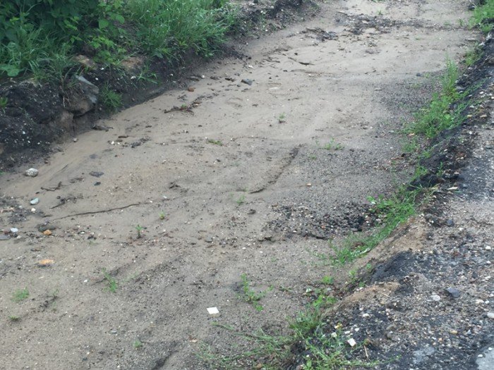 czytelniczka-co-z-droga-w-dziwiszowie-foto-69550