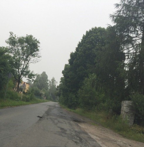 pomoz-potraconemu-zwierzeciu-foto-69595