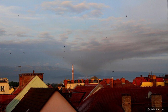 pozar-na-terenie-b-celwiskozy-foto-69659