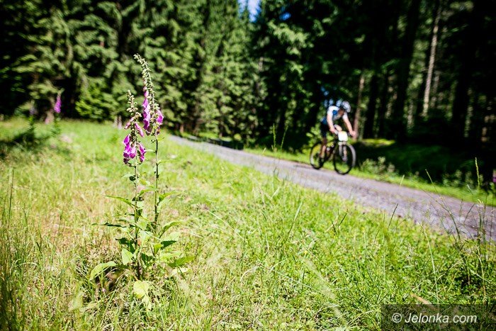 bike-adventure-na-rozpoczecie-rowerowego-tygodnia-foto-69695