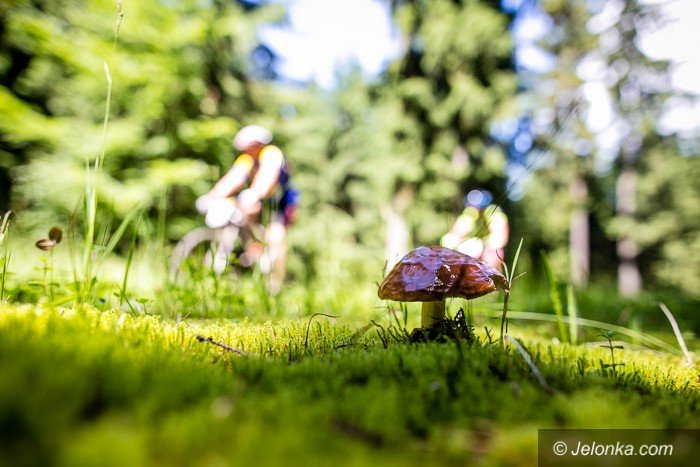 bike-adventure-na-rozpoczecie-rowerowego-tygodnia-foto-69695