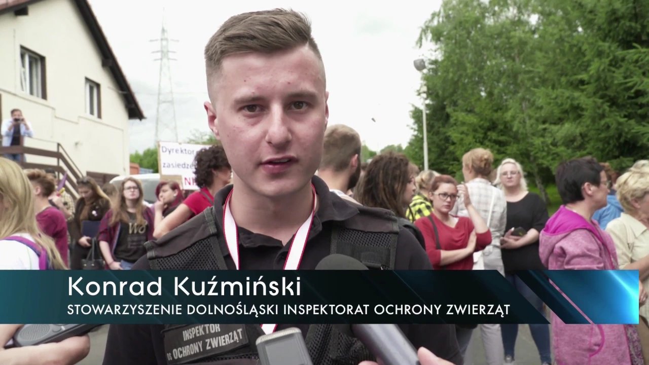 prezydent-o-schronisku-dla-maych-zwierzat-video-69700
