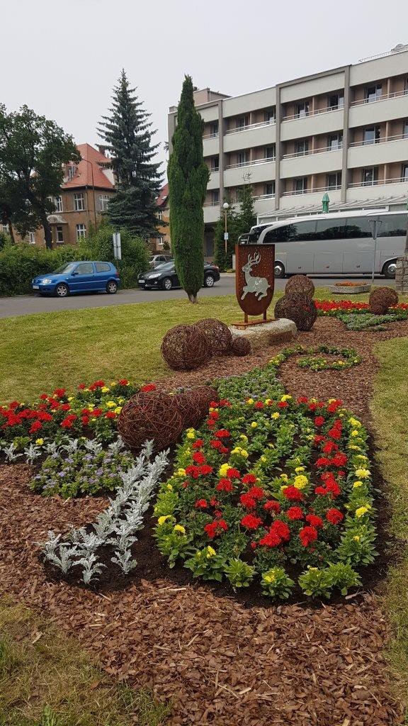 nasi-modzi-ogrodnicy-zabysneli-w-cervi-foto-69766
