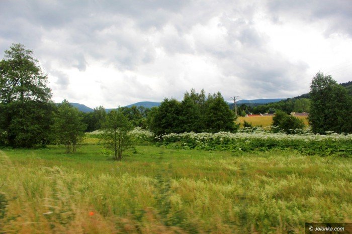 co-z-barszczem-w-mikowie-foto-69767