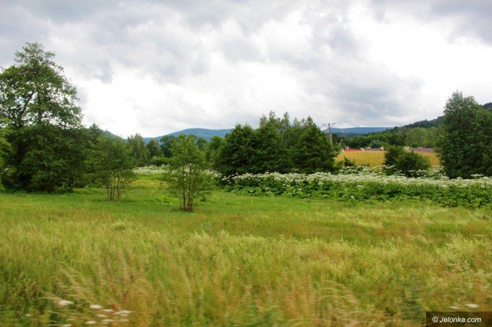 co-z-barszczem-w-mikowie-foto-69767