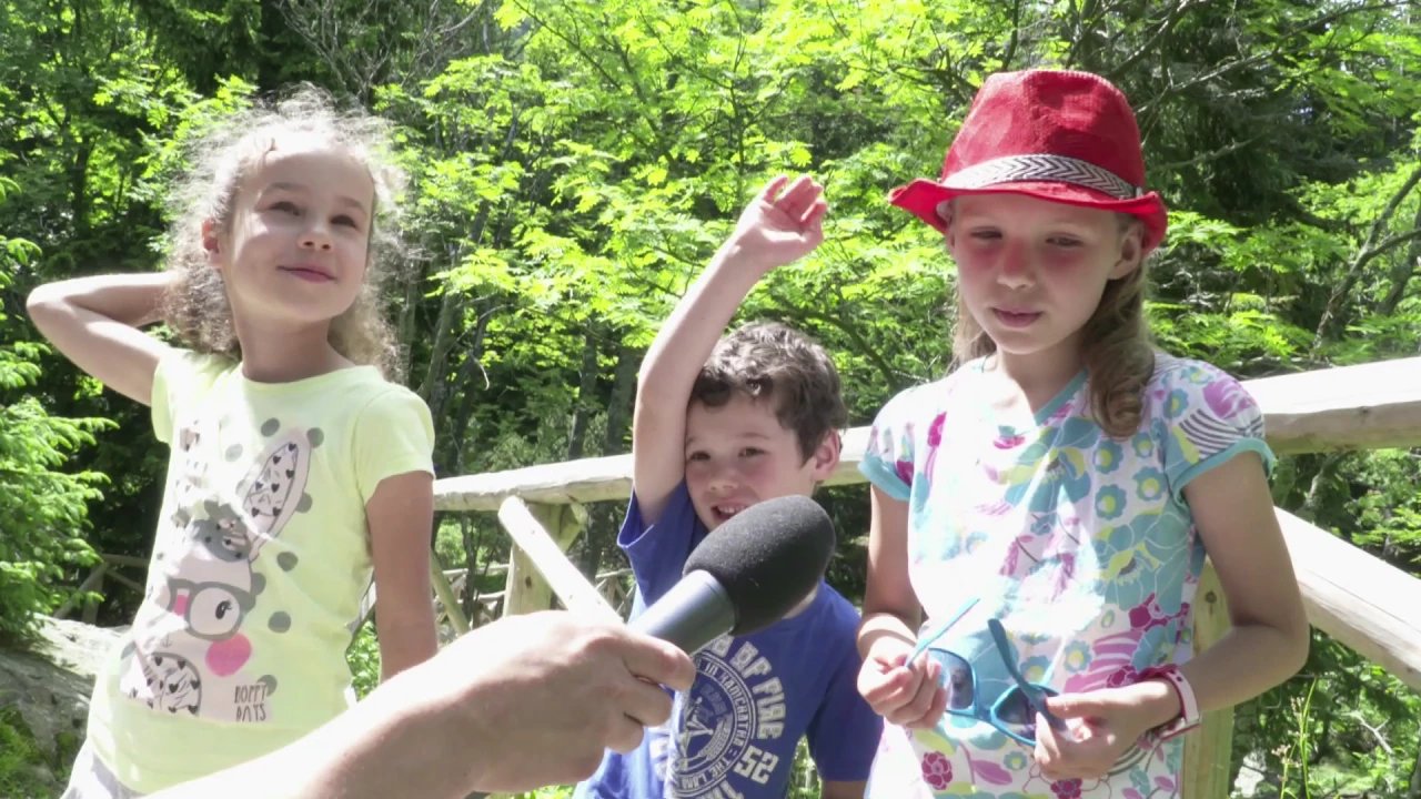 domek-mysliwski-na-wakacje-video-69776