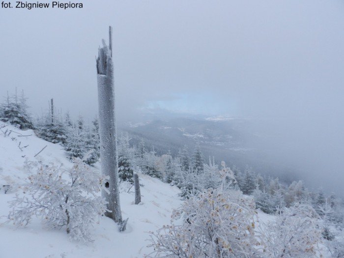 sudety-zima-w-goscincu-na-starowce-foto-69813
