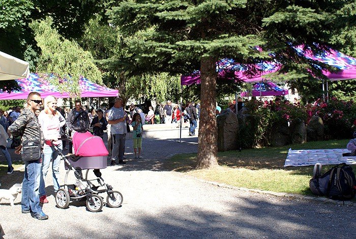 parkowanie-pod-lipa-gry-i-turnieje-foto-69827