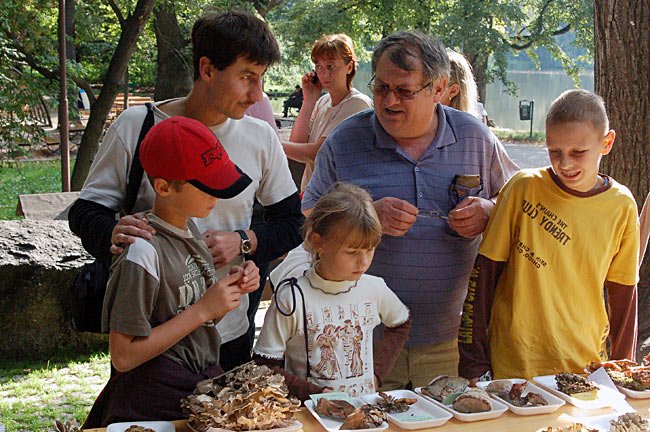 smaczna-kania-trujacy-sromotnik-6986