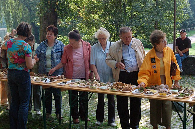 smaczna-kania-trujacy-sromotnik-6986