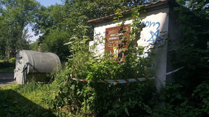 skandaliczna-postawa-straznika-miejskiego-foto-69879
