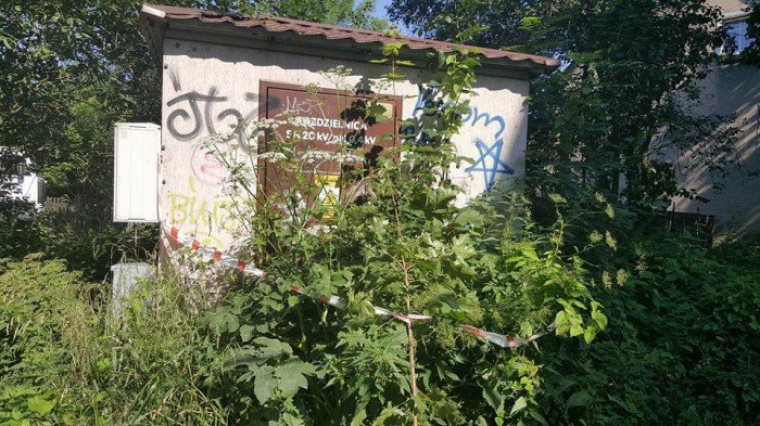 skandaliczna-postawa-straznika-miejskiego-foto-69879