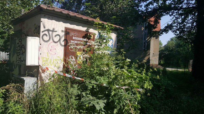 skandaliczna-postawa-straznika-miejskiego-foto-69879