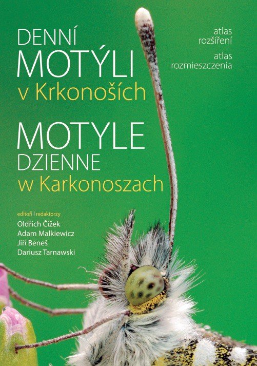 zaczytaj-sie-z-jelonkacom-foto-69908