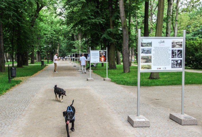 julia-w-parku-zdrojowym-warto-to-zobaczyc-foto-69919